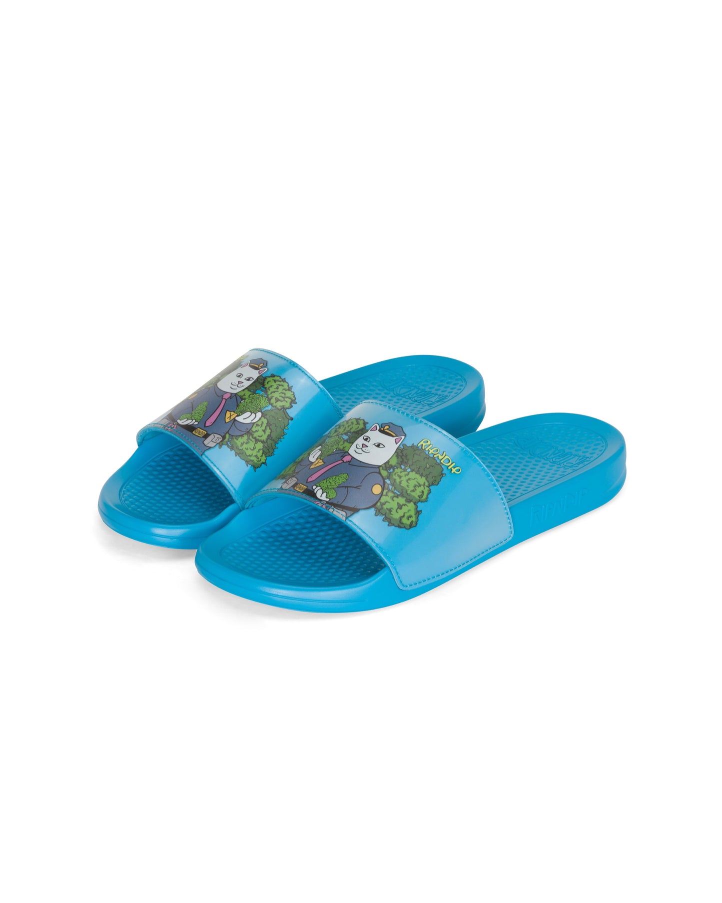 CONFISCATED SLIDES (BLUE)